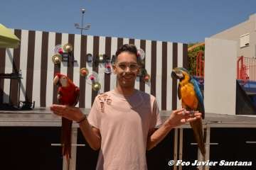 Espectáculo de aves exóticas de Paco Pluma en El Caracol (Foto Francisco Javier Santana)